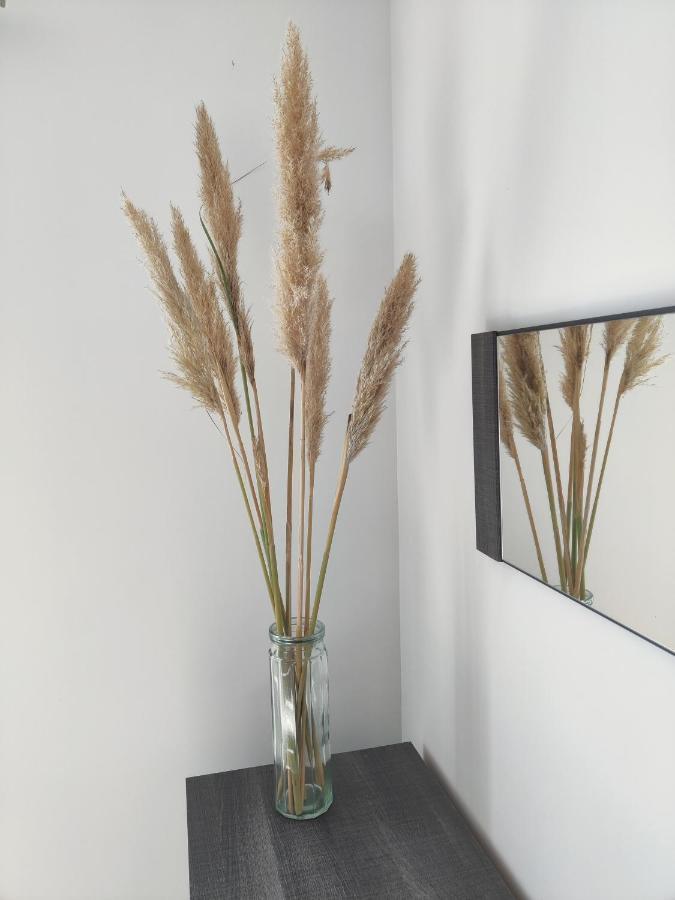 Appartement T3 Plume Hyper Centre D'Ernée Zewnętrze zdjęcie